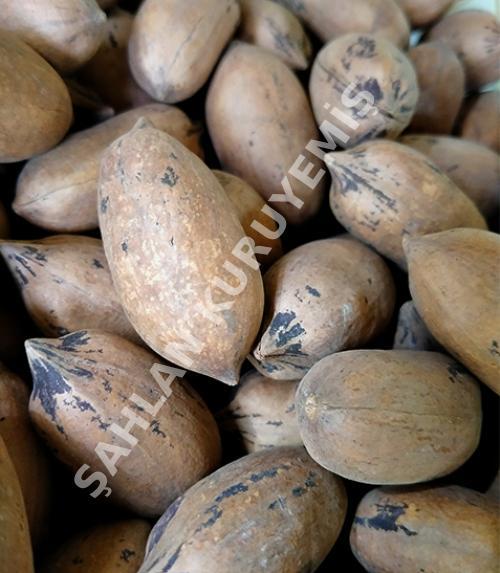 Pikan cevizi ( kabuklu )